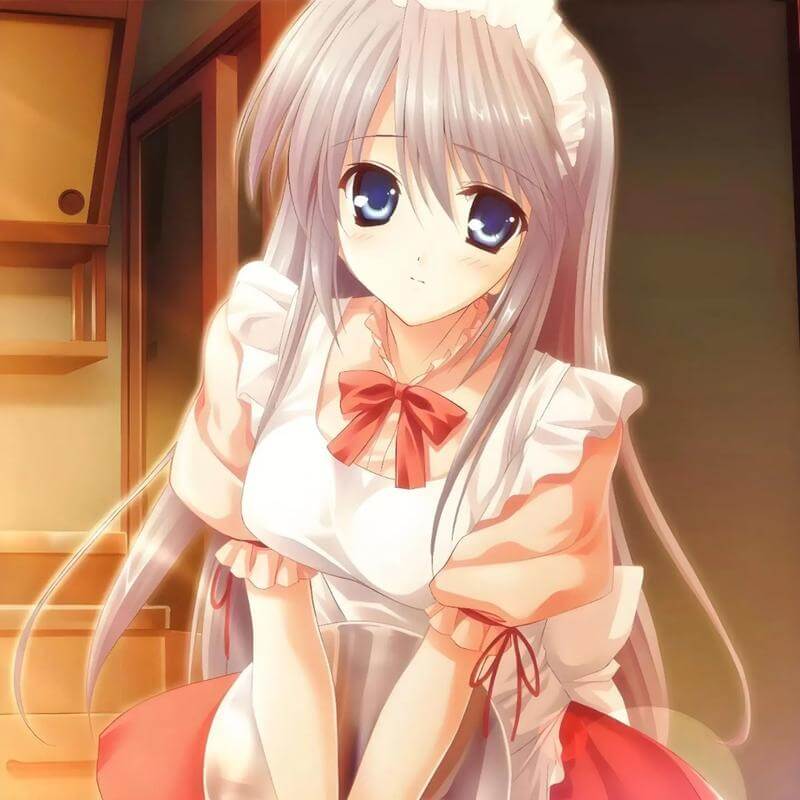 Galgame资源